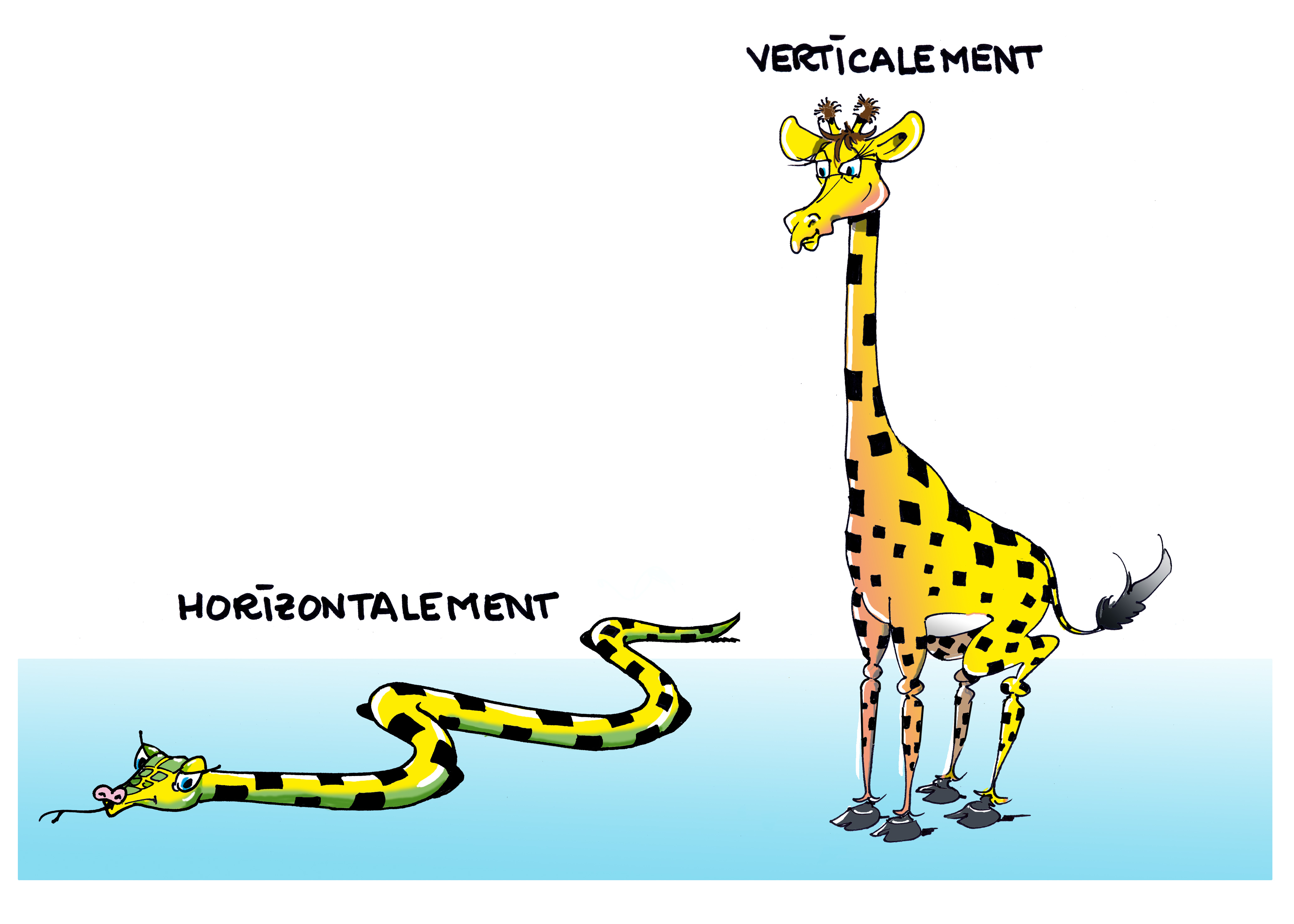 Horizontal-Vertical